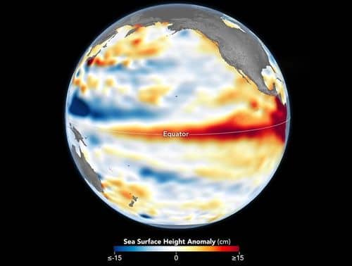 Kort over Stillehavet den 8. juni 2026. Røde områder viser forhøjede havniveauer, som er et tegn på El Niño.