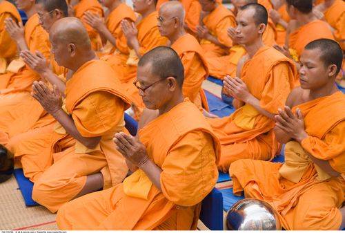 En gruppe buddhistiske munke i bøn i Bangkok, Thailand