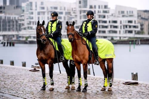 To politibetjente på hest fotograferet på en kaj ved Københavns havn.
