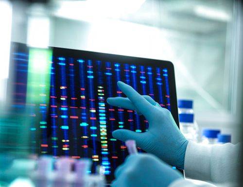 Forsker undersøger DNA på computerskærm i forbindelse med et laboratorieforsøg