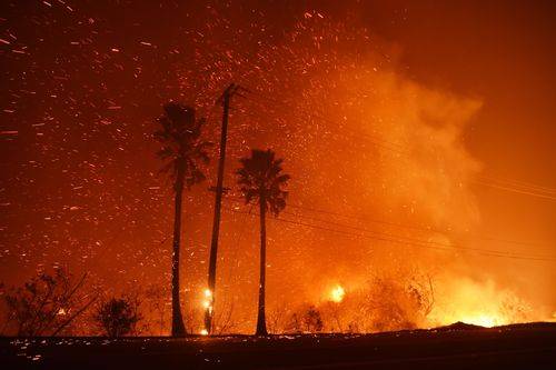 Skovbrand ved Los Angeles i januar 2025.
