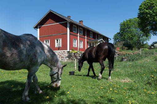 Typisk svensk, rødt hus, ofte kaldet ødegård i Sverige med heste på en græsmark