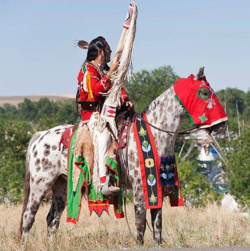 crow indianer