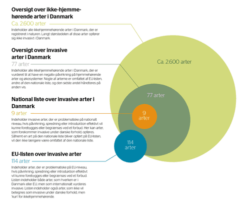Figuren viser inddelingen af arter på de forskellige invasiv-lister pr. 8. september 2025