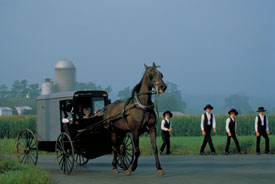 1.1.2001: Amish-folk i staten Pennsylvania, USA. Drenge i søndagstøj. Fotograf: Grandadam Sylvain/Polfoto