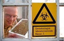 Biolog Jens Find på Genteknologisk Laboratorium