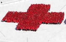 935 rødklædte personer og en hund danner verdens største menneskelige kors på taget af Operahuset i Oslo. Rekorden kvalificerer til en plads i Guiness Rekordbog.