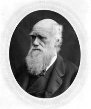 Naturvidenskabsmanden Charles Darwin (1809 - 1882).