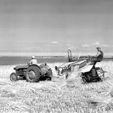 Efter 2. verdenskrig blev en del Fergusson-traktorer købt med penge fra Marshallhjælpen.