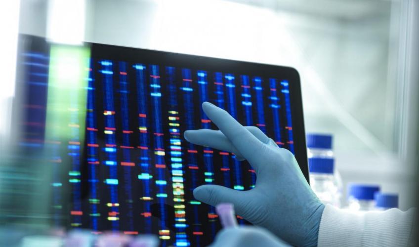 Forsker undersøger DNA i forbindelse med et laboratorieforsøg